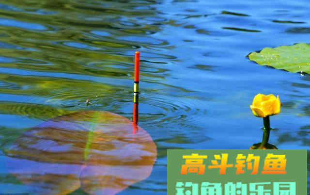 应对快鱼的能力，是钓技高低的分水岭