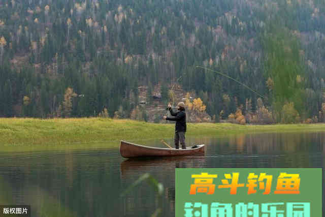 退水鱼难钓，真的是这样吗