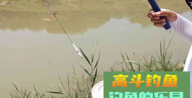 新手钓鱼，记住这4点，钓鱼不再难