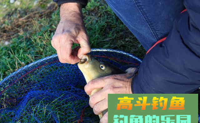 掌握这些一准不吃亏，对提升渔获帮助很大