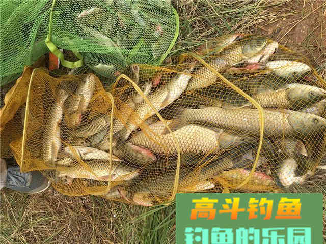 浅谈光线对钓鱼的影响，不同钓况影响不同