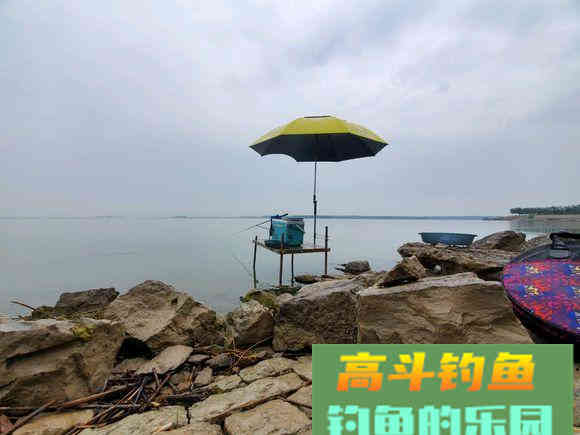 如何钓好离底？哪些情况下该钓离底