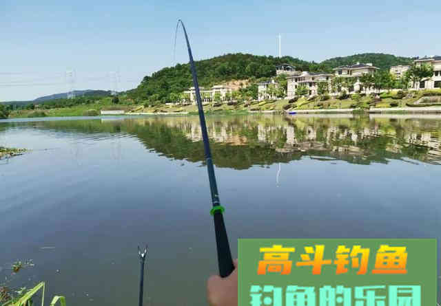 怪不得你总是断线跑鱼，原来是主线和子线的搭配出了问题