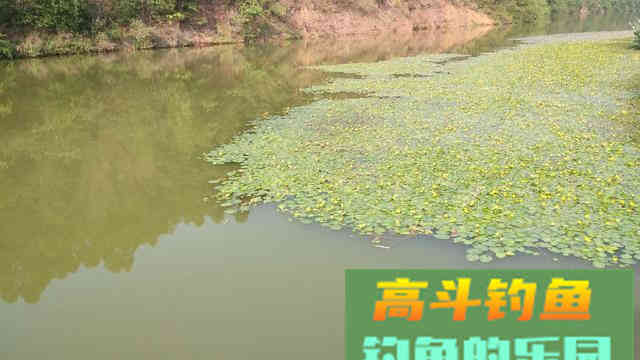 水退一尺鱼退一丈，搞明白这句话，涨落水都能钓到鱼