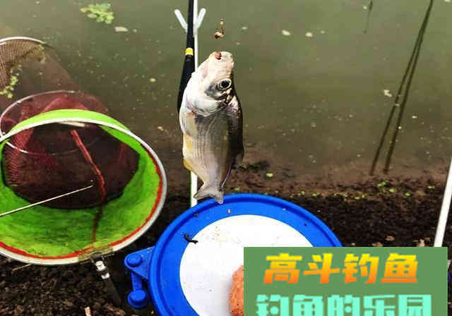 初学钓鱼，不想走弯路，要牢记这8大注意事项