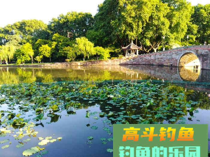 聊：钓轻口鱼的几点体会，助你更好的钓鱼
