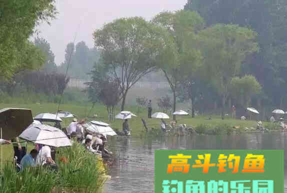 浅水多草钓滩涂，卧漂看不见，立漂易挂草，怎么办