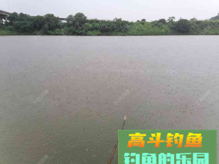 小白到大师就差这几步，做好鱼几点，钓鱼不再难