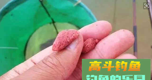 钓鱼新手和老鸟之间的区别，3个表现