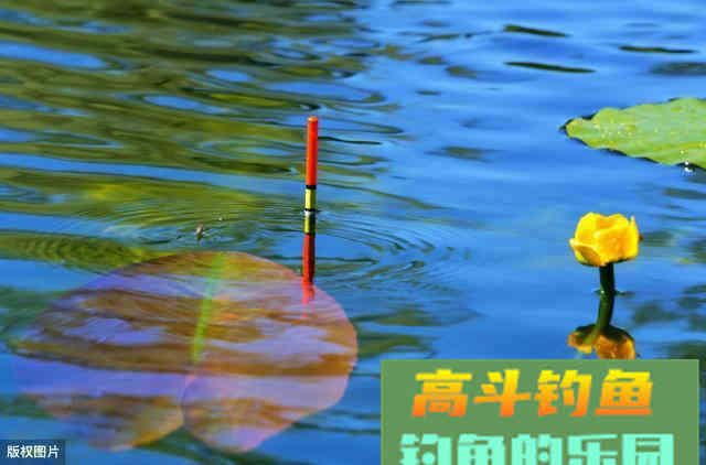 钓鱼总比别人少却找不到原因？调钓容易被忽视的技巧