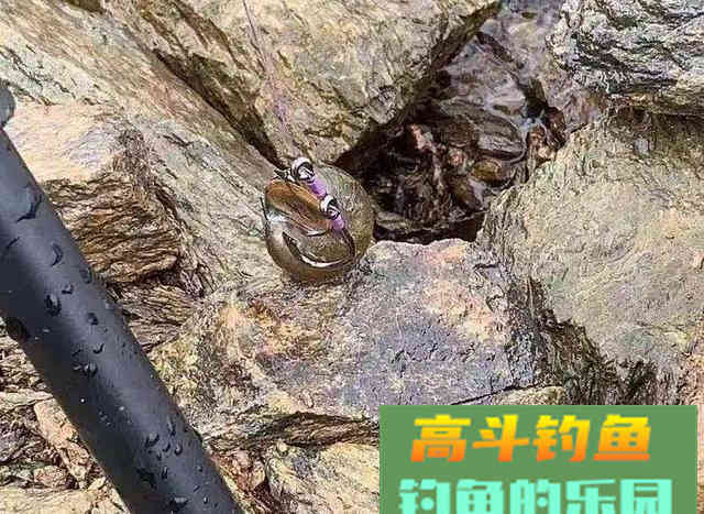 野钓知识大全，新手福音，初钓者必须了解的一些知识