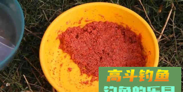 钓鱼时的注意事项和技巧分享