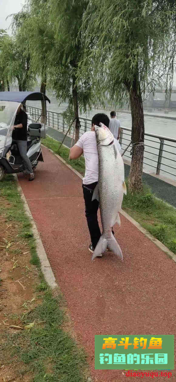 钓鱼人的几大错觉，你至少有过三个，就连新手都会有