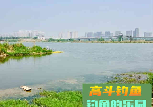 钓不到鱼就归结为屁股没坐对？您还别不信