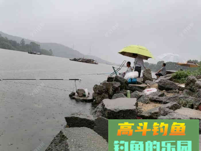 小白到大师就差这几步，做好鱼几点，钓鱼不再难