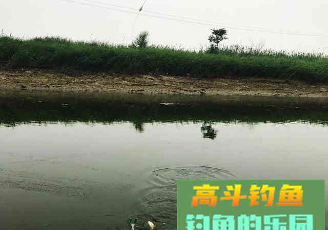 初学钓鱼，不想走弯路，要牢记这8大注意事项