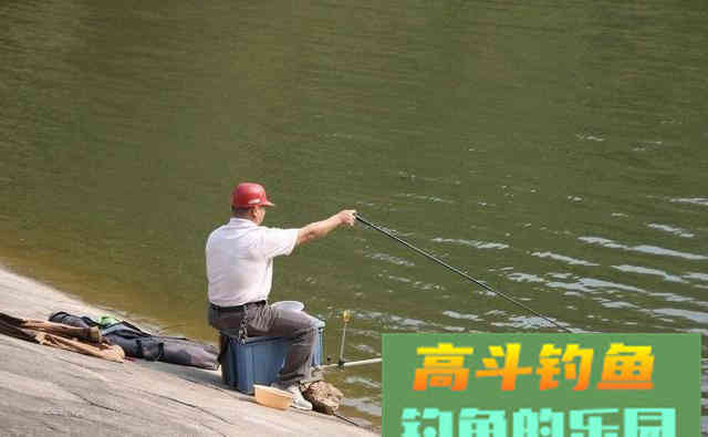 新手怎样判断鱼上钩了？我来教你