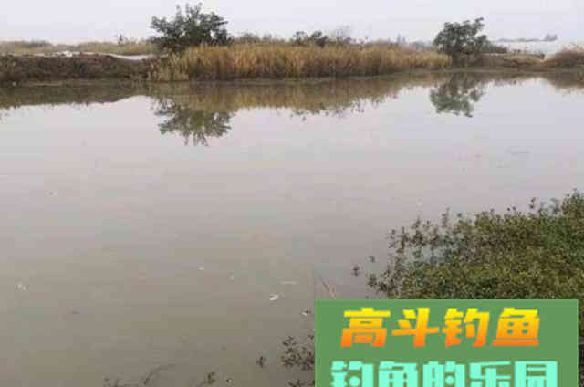 改掉这3个错误，鱼护早就爆满了
