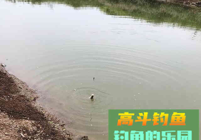 初学钓鱼，不想走弯路，要牢记这8大注意事项
