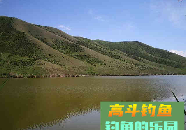 新手钓鱼牢记3不要，钓好鱼不是什么难事