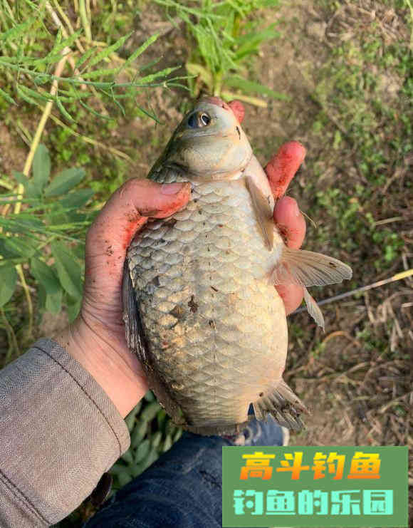 钓鱼人的几大错觉，你至少有过三个，就连新手都会有