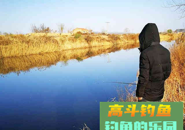 新手为何经常钓不到鱼？我以个人观点为你解惑