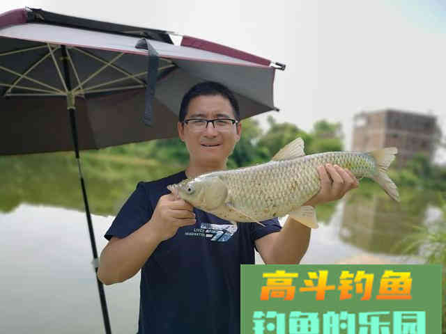 浅谈光线对钓鱼的影响，不同钓况影响不同