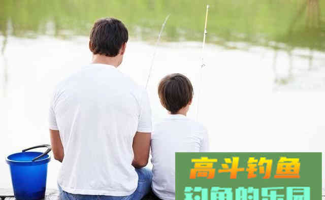 新手怎样判断鱼上钩了？我来教你
