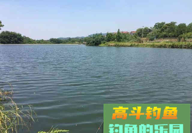 出现黑漂一定要提竿？不一定