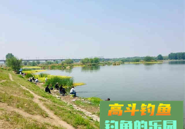 钓不到鱼就归结为屁股没坐对？您还别不信