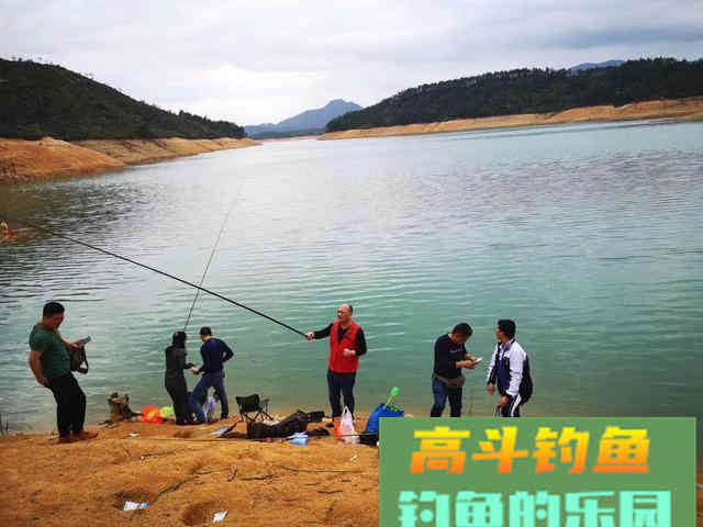 浅谈光线对钓鱼的影响，不同钓况影响不同