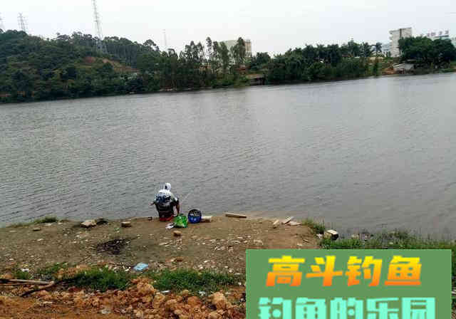 来到水边不要急着下竿，花些时间把这些做好