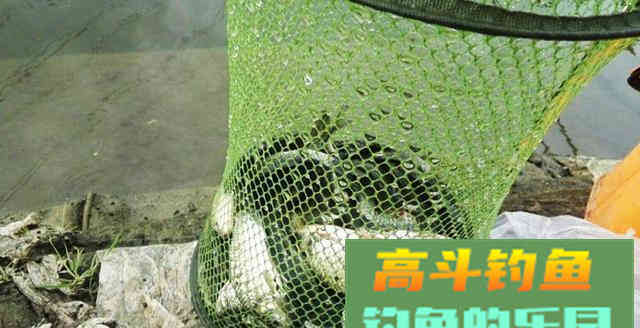 新手钓鱼，记住这4点，钓鱼不再难