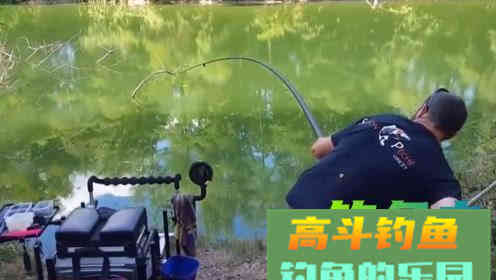勤学苦练之后，钓技还是不提高，看看几个原因